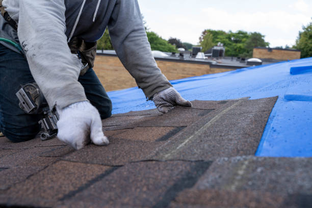 Professional Roofing Contractor in Forest City, PA
