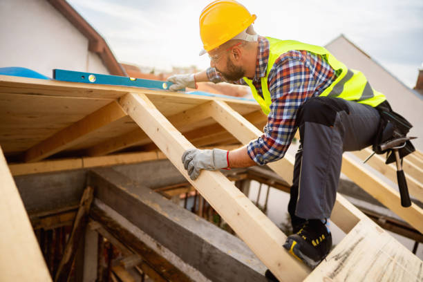 Best Roof Gutter Cleaning  in Forest City, PA