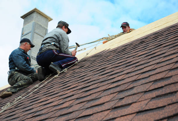 Best Metal Roofing Contractor  in Forest City, PA