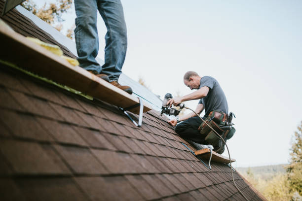 Best Roof Replacement Cost  in Forest City, PA